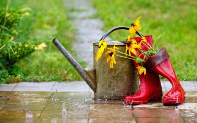 Gardening in the Rain