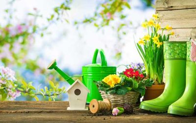 Spring Planting